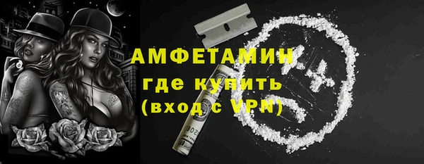 твердый Пересвет