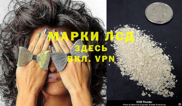 спайс Покачи
