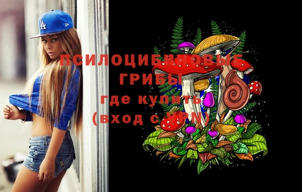 спайс Покачи