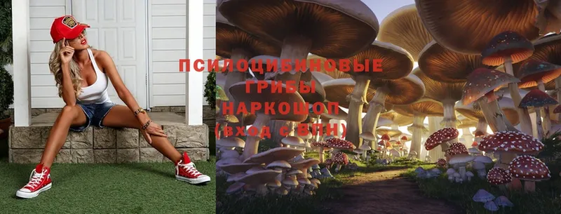 Галлюциногенные грибы Magic Shrooms  Алушта 