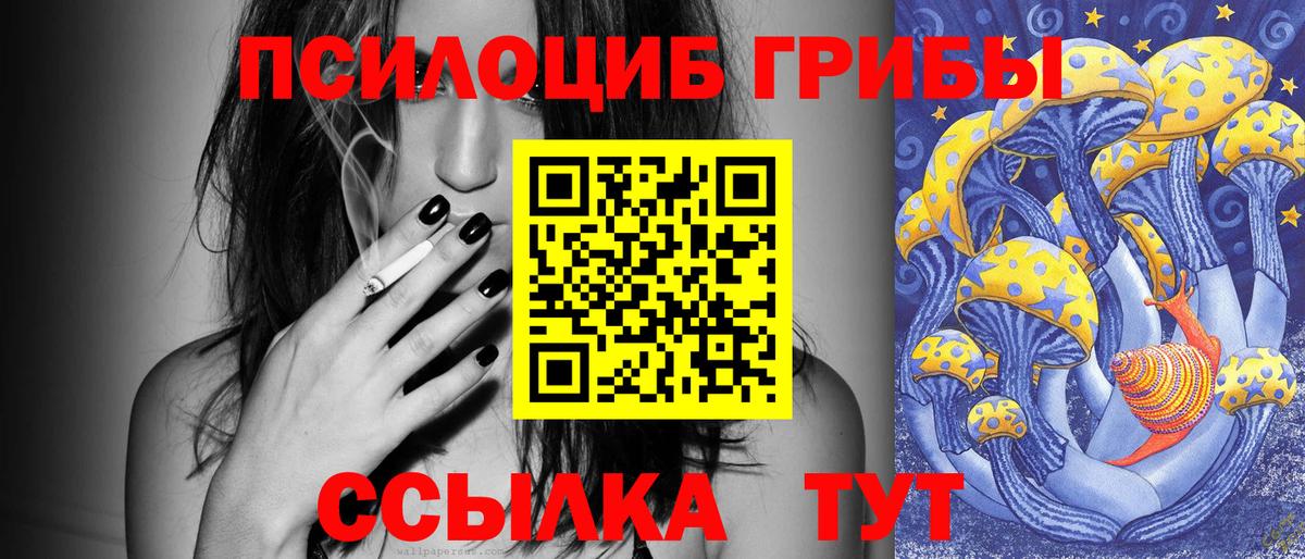 Псилоцибиновые грибы Psilocybe Алушта