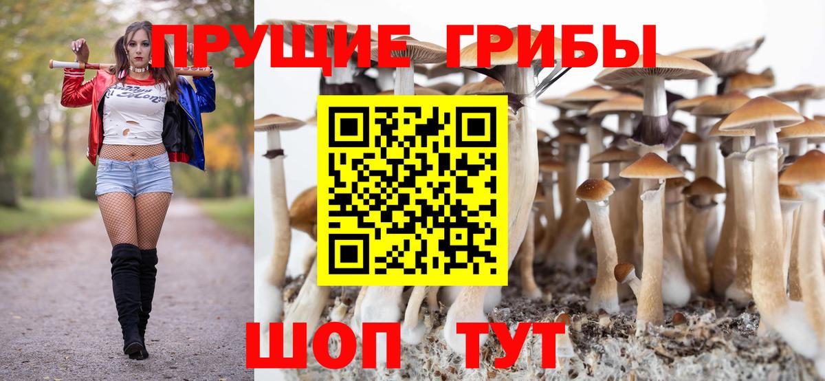 Псилоцибиновые грибы мицелий  где купить наркотик  Алушта 
