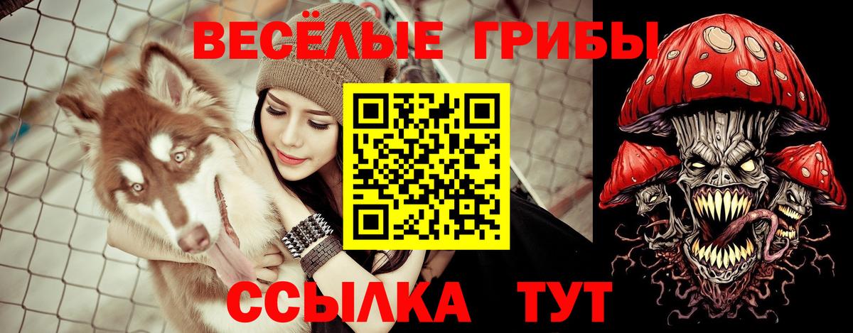 Псилоцибиновые грибы Psilocybine cubensis  Вход с VPN  Алушта  сколько стоит  Галлюциногенные грибы мицелий 