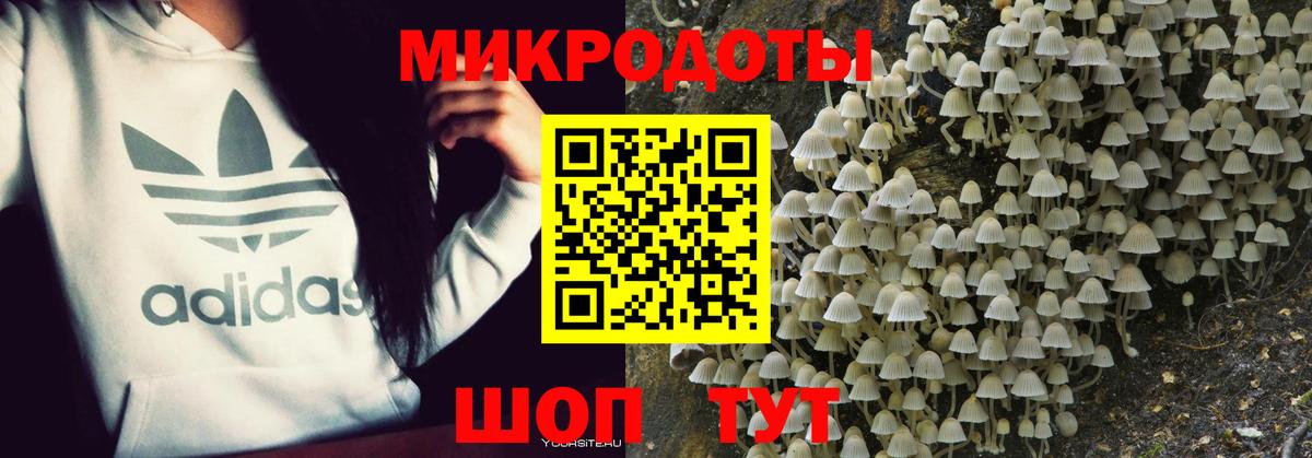 Галлюциногенные грибы Magic Shrooms  Вход с VPN  Алушта 