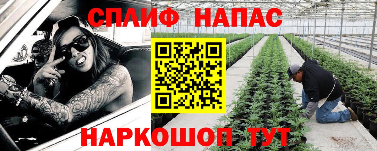 Алушта  МАРИХУАНА тримм  Вход с VPN  МАРИХУАНА конопля  Шишки марихуана планчик 